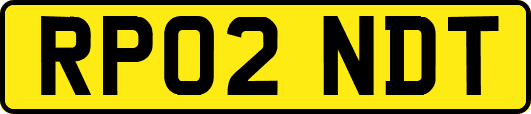RP02NDT
