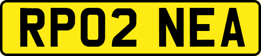 RP02NEA