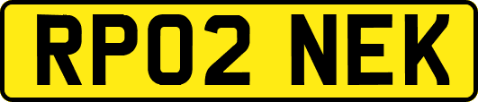 RP02NEK