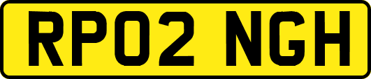 RP02NGH