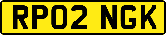 RP02NGK
