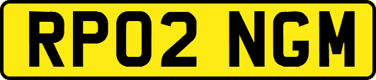 RP02NGM