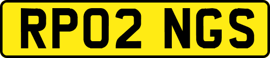 RP02NGS