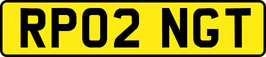RP02NGT