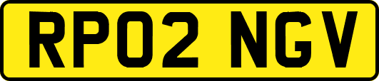 RP02NGV