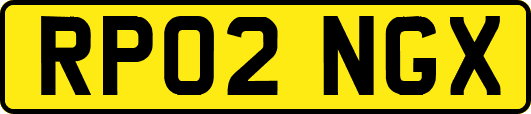 RP02NGX