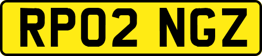 RP02NGZ