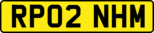 RP02NHM
