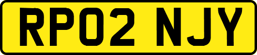 RP02NJY
