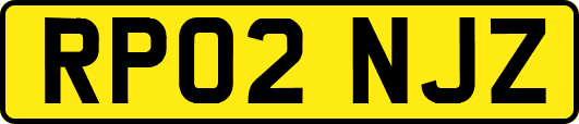 RP02NJZ