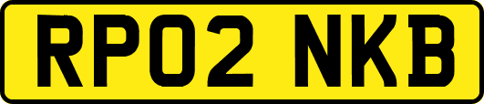 RP02NKB