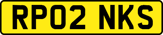 RP02NKS