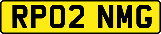 RP02NMG