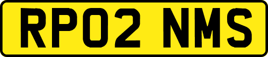 RP02NMS