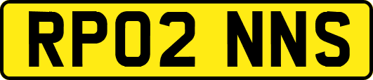RP02NNS