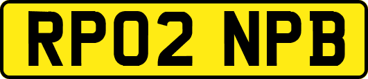 RP02NPB