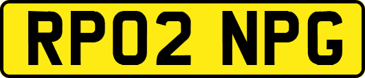 RP02NPG
