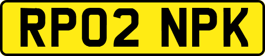 RP02NPK