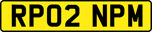 RP02NPM
