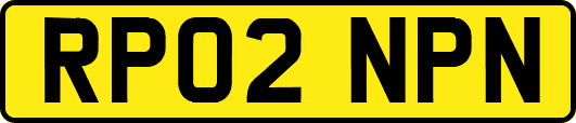 RP02NPN