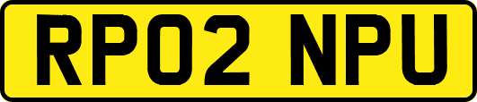 RP02NPU