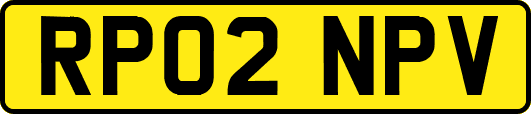 RP02NPV