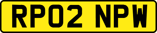 RP02NPW