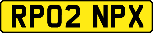 RP02NPX