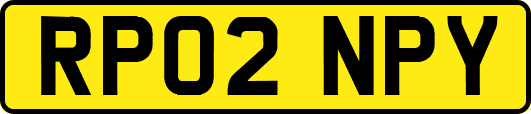RP02NPY