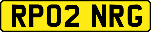 RP02NRG