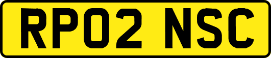 RP02NSC