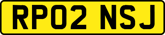 RP02NSJ