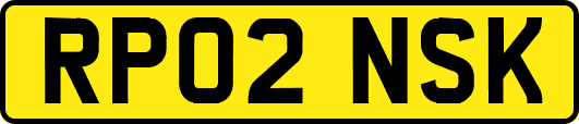 RP02NSK