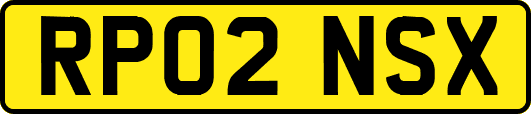 RP02NSX
