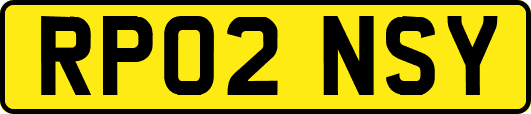 RP02NSY