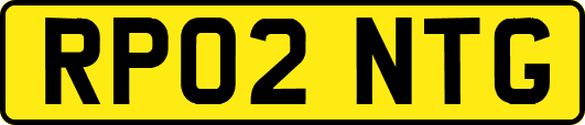 RP02NTG