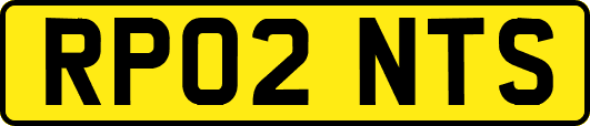 RP02NTS