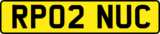 RP02NUC