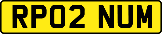RP02NUM