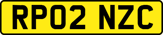 RP02NZC