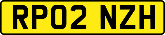 RP02NZH