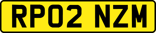 RP02NZM