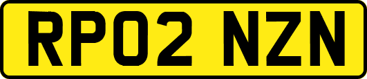 RP02NZN