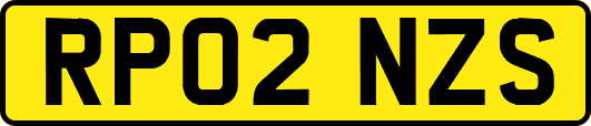 RP02NZS