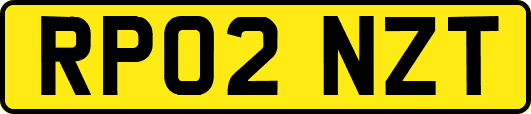 RP02NZT
