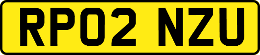 RP02NZU
