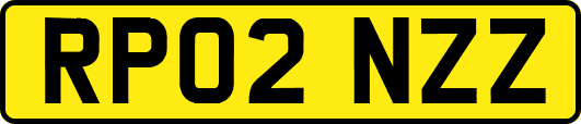 RP02NZZ