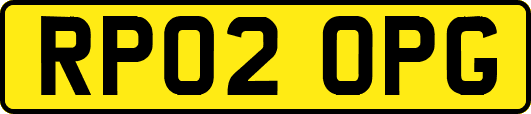 RP02OPG
