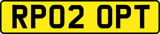 RP02OPT