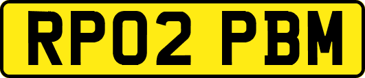 RP02PBM